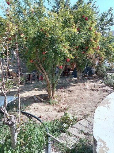 Продается  участок 3 сот, пос. Шаган, photo 3 from 5