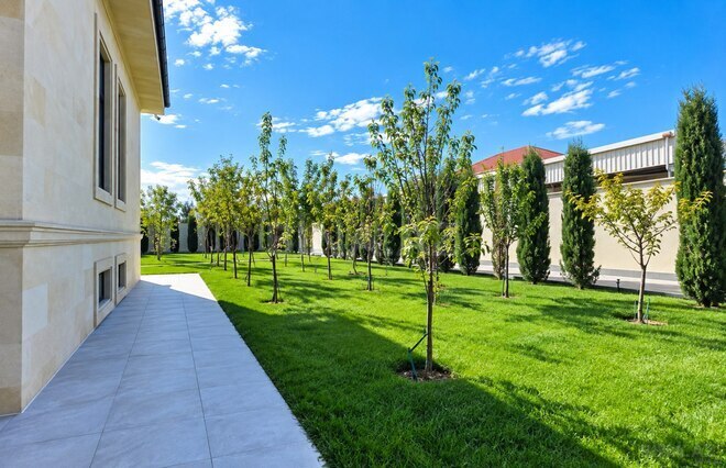 Satılır 8 otaqlı həyət evi/bağ evi 1 000 m², Şüvəlan q., photo 11 from 26