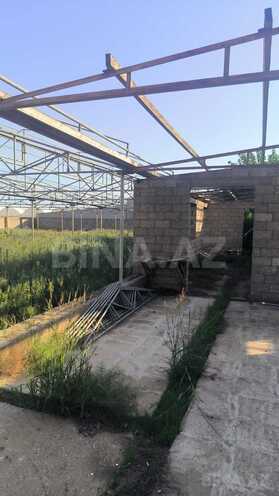 Satılır  torpaq 72 sot, Zirə q., photo 6 from 25