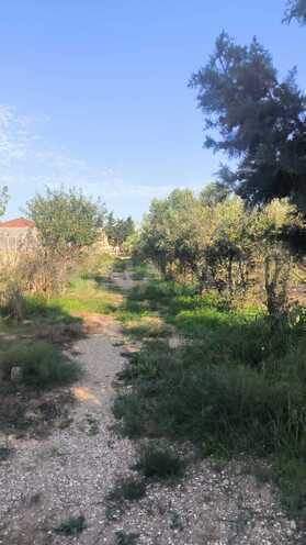 Satılır  torpaq 72 sot, Zirə q., photo 21 from 25