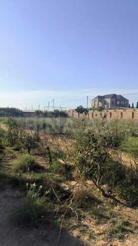 Satılır  torpaq 72 sot, Zirə q., photo 12 from 25