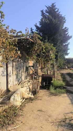 Satılır  torpaq 72 sot, Zirə q., photo 14 from 25