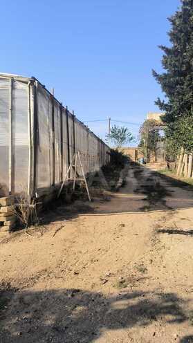 Satılır  torpaq 72 sot, Zirə q., photo 8 from 25