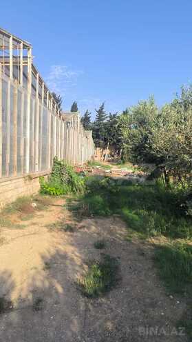 Satılır  torpaq 72 sot, Zirə q., photo 19 from 25
