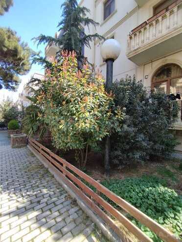 İcarəyə verilir 2 otaqlı yeni tikili 75 m², photo 5 from 22