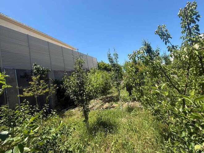 Satılır 4 otaqlı həyət evi/bağ evi 257 m², Albalılıq q., photo 24 from 32