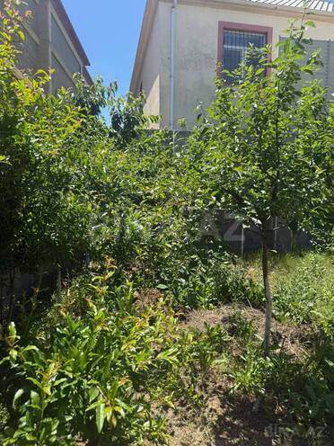 Satılır 4 otaqlı həyət evi/bağ evi 257 m², Albalılıq q., photo 29 from 32