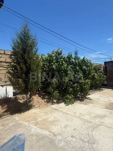 Satılır 4 otaqlı həyət evi/bağ evi 257 m², Albalılıq q., photo 30 from 32