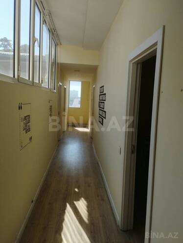 Сдаётся  объект 200 м², м. Низами, photo 7 from 12