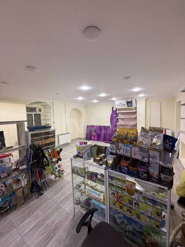 Сдаётся  объект 60 м², м. Иншаатчылар, photo 6 from 11