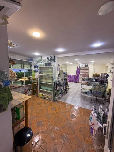 Сдаётся  объект 60 м², м. Иншаатчылар, photo 7 from 11