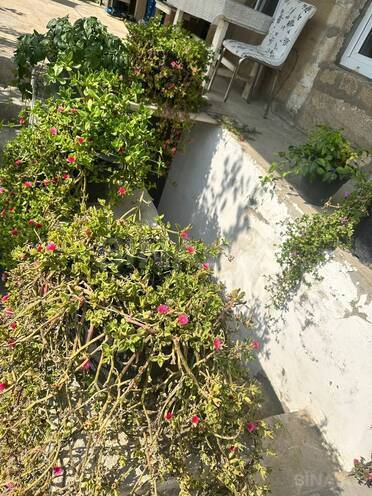 Satılır 3 otaqlı həyət evi/bağ evi 90 m², Bilgəh q., photo 11 from 15