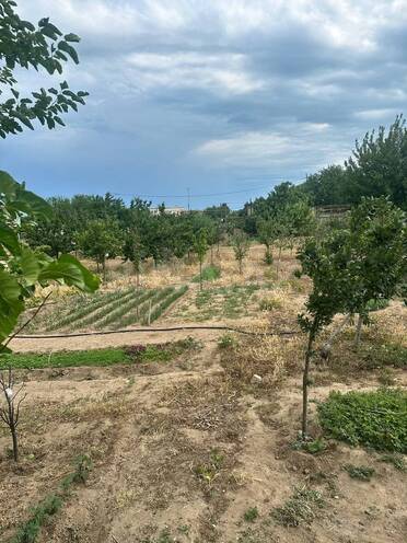 Satılır 3 otaqlı həyət evi/bağ evi 90 m², Bilgəh q., photo 8 from 15