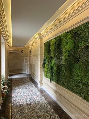 Продается 2-комн. новостройка 55 м², м. Гянджлик, photo 23 from 28