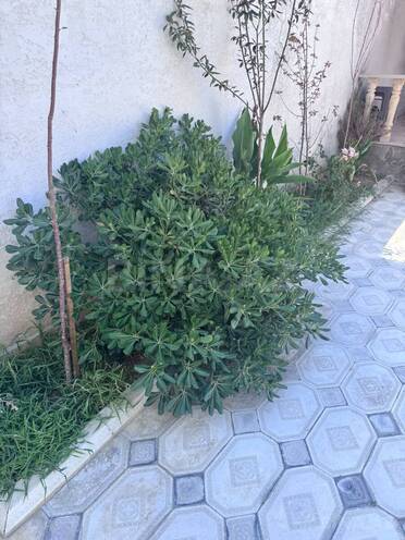 Satılır 7 otaqlı həyət evi/bağ evi 280 m², Biləcəri q., photo 19 from 21