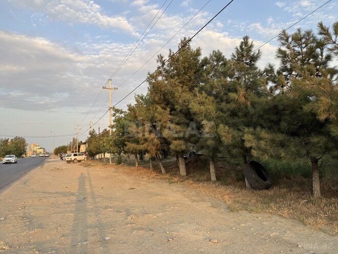 Satılır  torpaq 12 sot, Saray q., photo 3 from 10