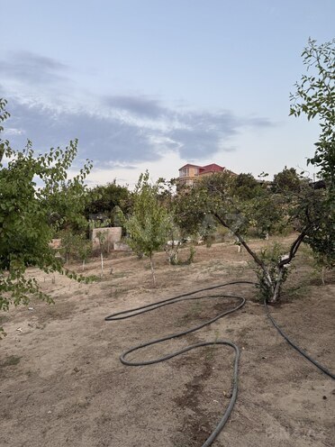 Satılır  torpaq 12 sot, Saray q., photo 4 from 10