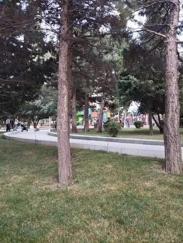 Satılır 2 otaqlı köhnə tikili 65 m², Yeni Yasamal q., photo 15 from 16