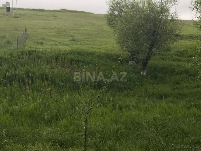 Satılır  torpaq 110 sot, photo 1 from 6