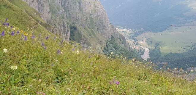 Satılır  torpaq 110 sot, photo 5 from 6