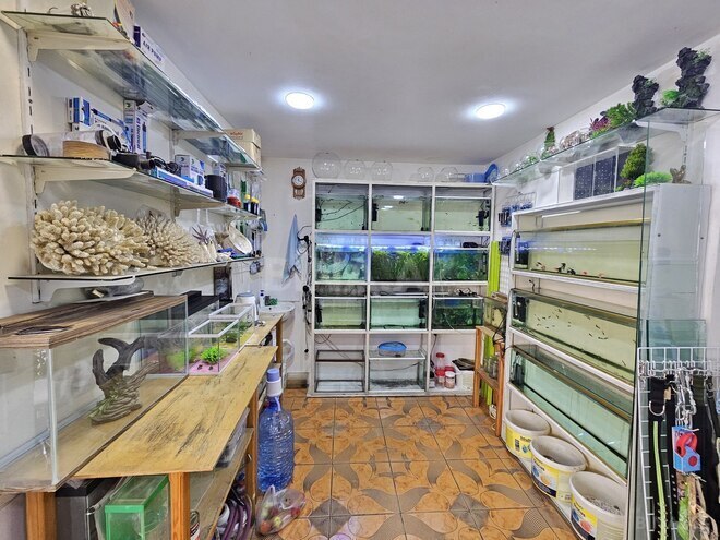 İcarəyə verilir  obyekt 65 m², İnşaatçılar m., photo 3 from 16