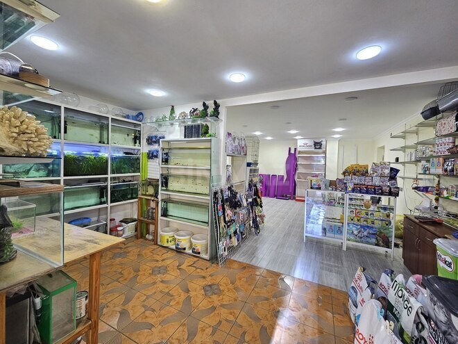 İcarəyə verilir  obyekt 65 m², İnşaatçılar m., photo 4 from 16