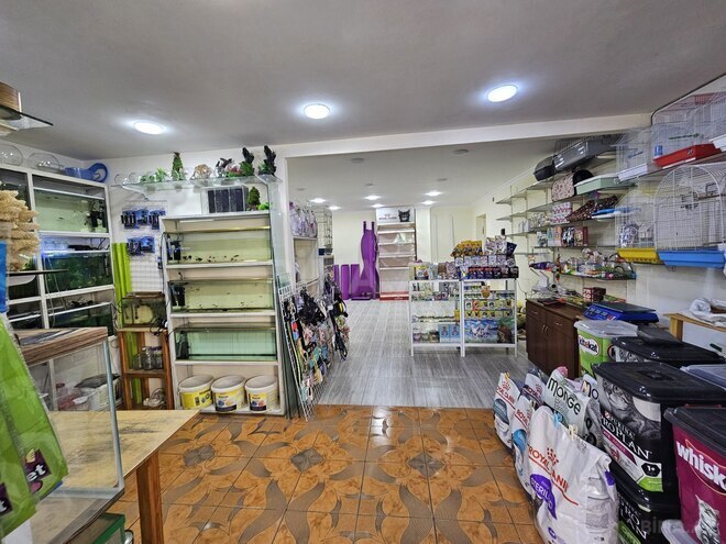 İcarəyə verilir  obyekt 65 m², İnşaatçılar m., photo 1 from 16