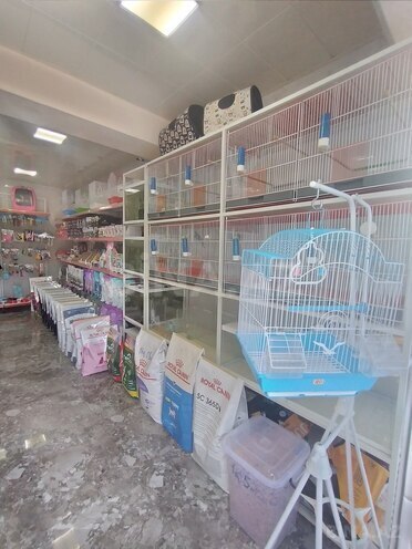 İcarəyə verilir  obyekt 25 m², Elmlər Akademiyası m., photo 7 from 19