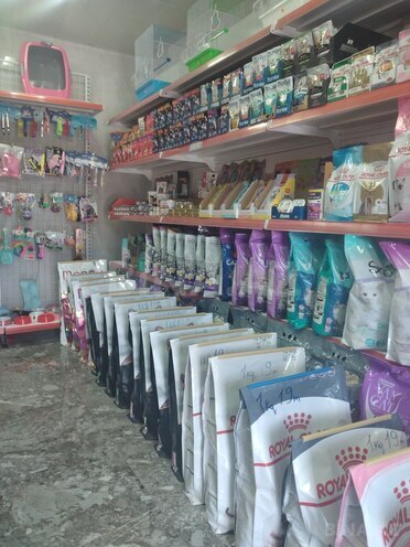 İcarəyə verilir  obyekt 25 m², Elmlər Akademiyası m., photo 11 from 19