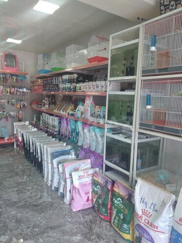 İcarəyə verilir  obyekt 25 m², Elmlər Akademiyası m., photo 16 from 19