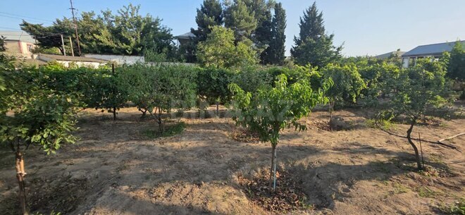 Satılır  torpaq 12 sot, Saray q., photo 3 from 6
