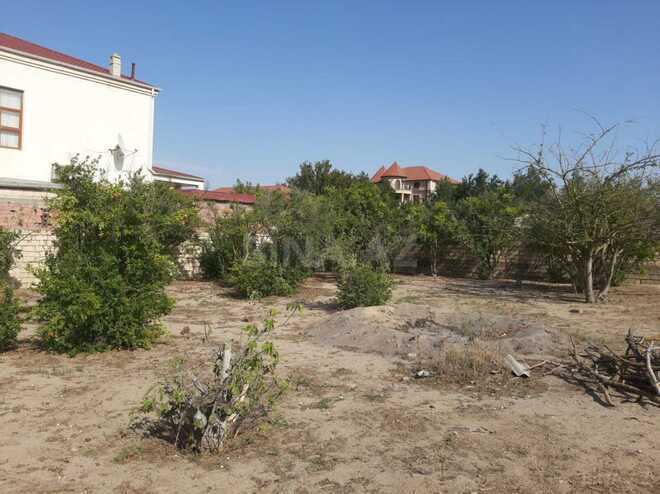 Satılır  torpaq 12 sot, Saray q., photo 4 from 6