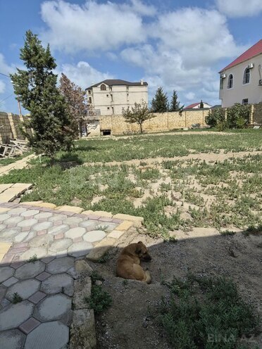 Продаётся  участок 6 сот, photo 7 from 16