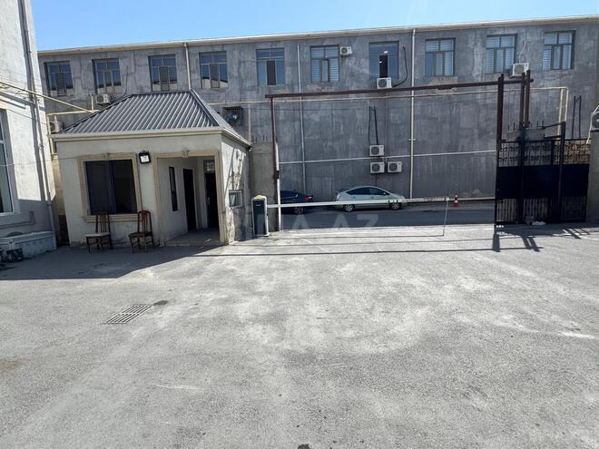 Сдаётся  объект 300 м², пос. Бинагади, photo 11 from 17