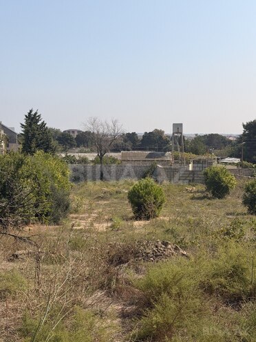 Продается  участок 12 сот, пос. Sea Breeze, photo 9 from 11
