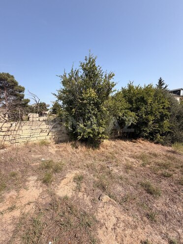 Продается  участок 12 сот, пос. Sea Breeze, photo 7 from 11