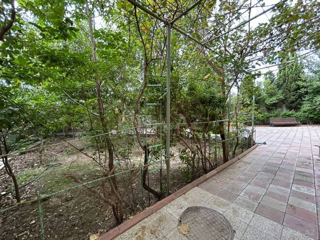 Satılır 12 otaqlı həyət evi/bağ evi 400 m², Badamdar q., photo 8 from 19
