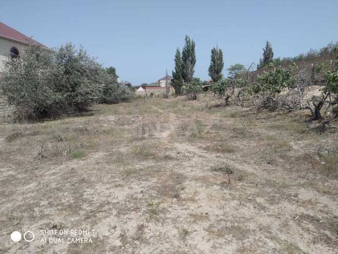 Продаётся  участок 6 сот, пос. Бадамдар, photo 1 from 6