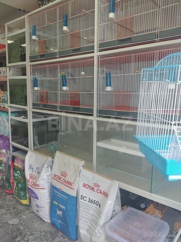 Satılır  obyekt 25 m², Elmlər Akademiyası m., photo 16 from 18