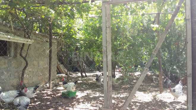 Продается 2-комн. дом/дача 50 м², пос. Тюркан, photo 6 from 28