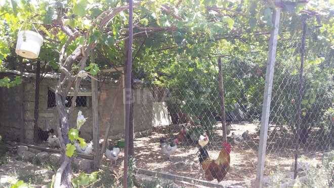 Продается 2-комн. дом/дача 50 м², пос. Тюркан, photo 20 from 28
