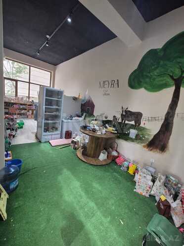 Продаётся  объект 57 м², м. Шах Исмаил Хатаи, photo 8 from 10