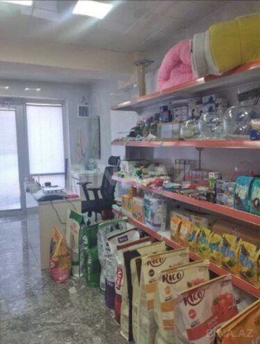 Satılır  obyekt 25 m², Elmlər Akademiyası m., photo 7 from 10