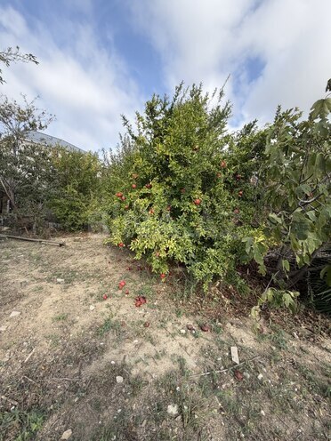Satılır 3 otaqlı həyət evi/bağ evi 100 m², Digah q., photo 21 from 22