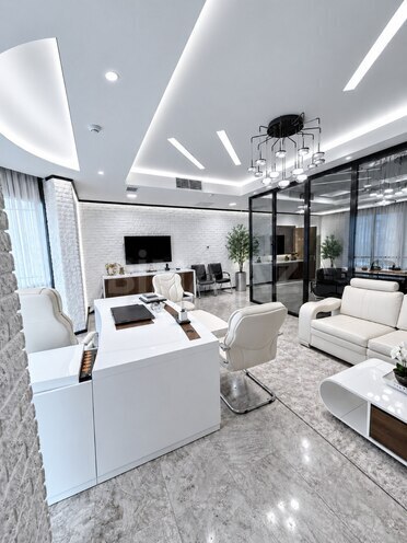 Сдаётся 6-комн. офис 250 м², м. Шах Исмаил Хатаи, photo 4 from 19