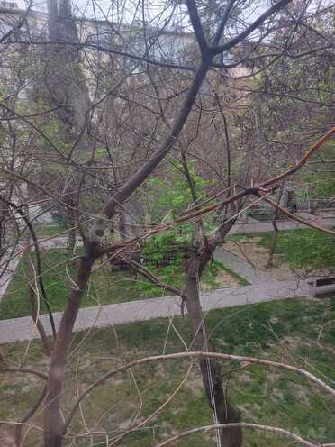 Продаётся 2-комн. вторичка 55 м², м. 20 января, photo 27 from 29