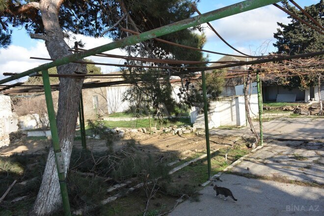 Продается  участок 15 сот, пос. Амирджаны, photo 7 from 31