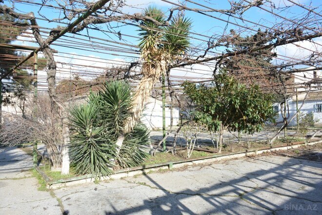 Продается  участок 15 сот, пос. Амирджаны, photo 13 from 31