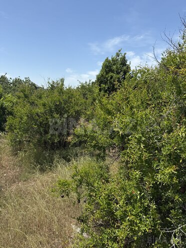 Satılır  torpaq 25 sot, Görədil q., photo 6 from 8
