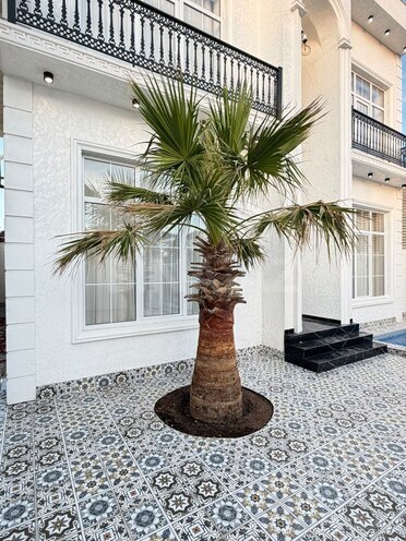 Продаётся 4-комн. дом/дача 240 м², пос. Мардакан, photo 10 from 29